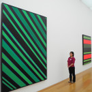 DSCN5244_JPG-1338816971