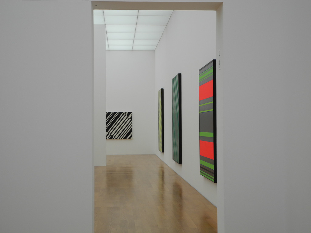 DSCN5249_JPG-1338817128