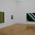 DSCN5253_JPG-1338817241