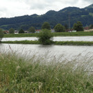 DSC00005.jpg