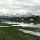DSC00025.jpg