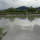 DSC00026.jpg