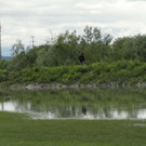 DSC00027.jpg