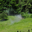 Feuer14 -_jpg-1338822743