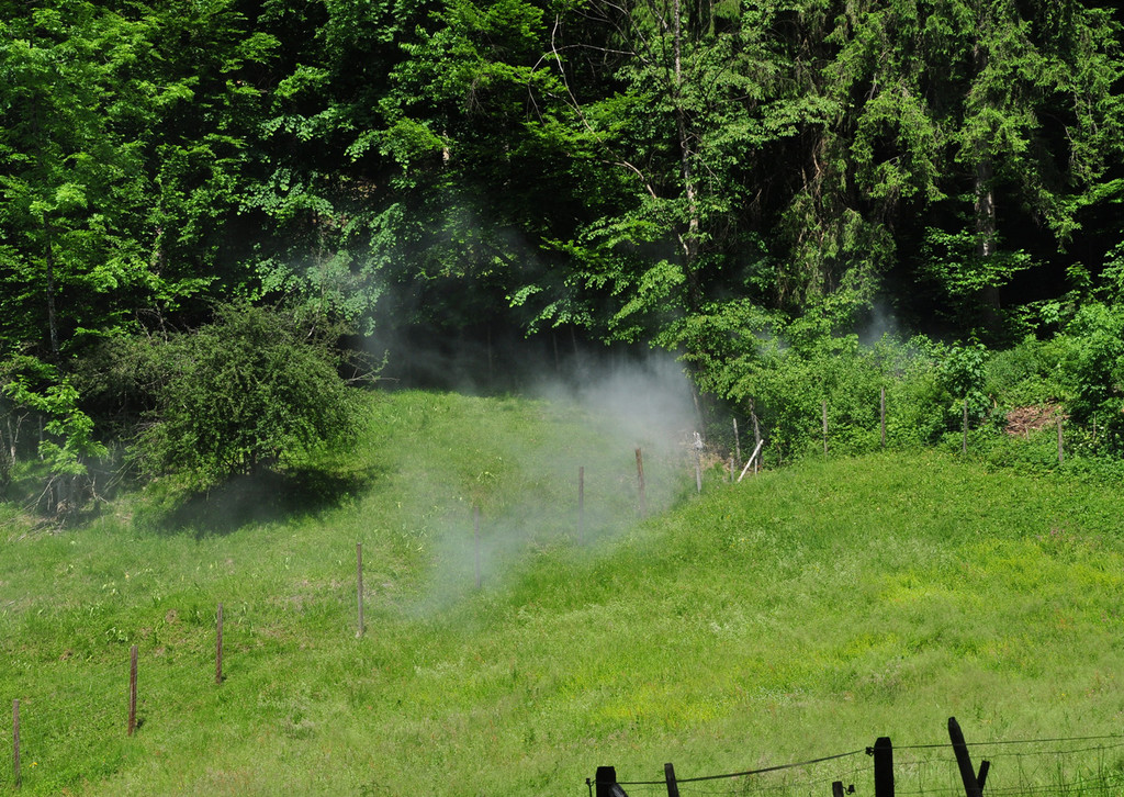 Feuer14 -_jpg-1338822743