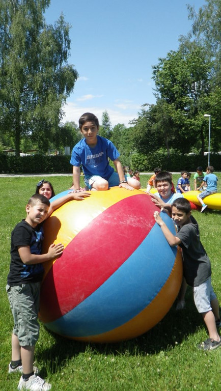 Willi2-001_jpg-1338847998