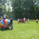 Willi5-001_jpg-1338848003