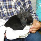 111_8680_JPG-1338850335