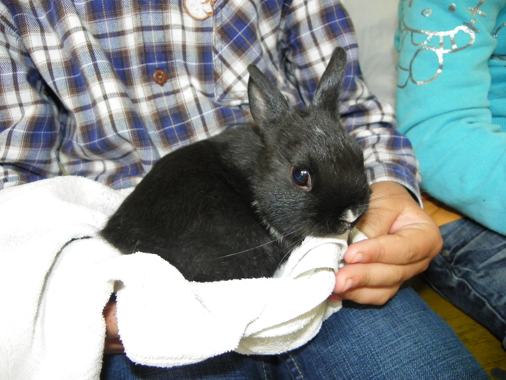 111_8680_JPG-1338850335