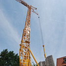 DSC_0040-1.jpg