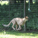 22052011zooffdsaktivnews_059.jpg
