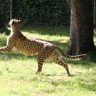 22052011zooffdsaktivnews_068.jpg