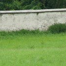 ZooGepardenAusbruch05061202.jpg