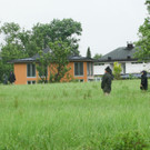 ZooGepardenAusbruch05061204.jpg