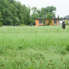 ZooGepardenAusbruch05061205.jpg