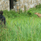 ZooGepardenAusbruch05061207.jpg