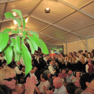 musikfest 123.JPG