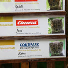 Bilder der Jungtiere
