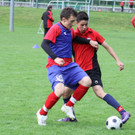 IMG_9311.jpg