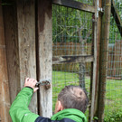 ZooGepardenAusbruch05061216.jpg