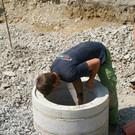 DSC05126.JPG