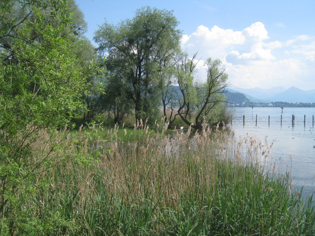 SCHWAN Nestidylle H__ 2012 _9__jpg-1338930169