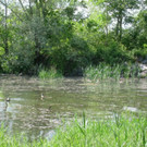 SCHWAN Nestidylle H__ 2012 _12__jpg-1338930189