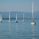 Regatta LYC 2012 _8__jpg-1338930506
