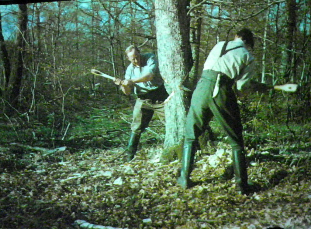 114_9108_JPG-1338932627