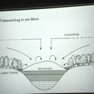 114_9096_JPG-1338932598