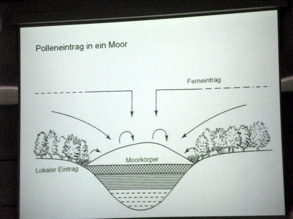 114_9096_JPG-1338932598