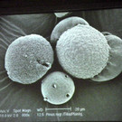 114_9097_JPG-1338932605