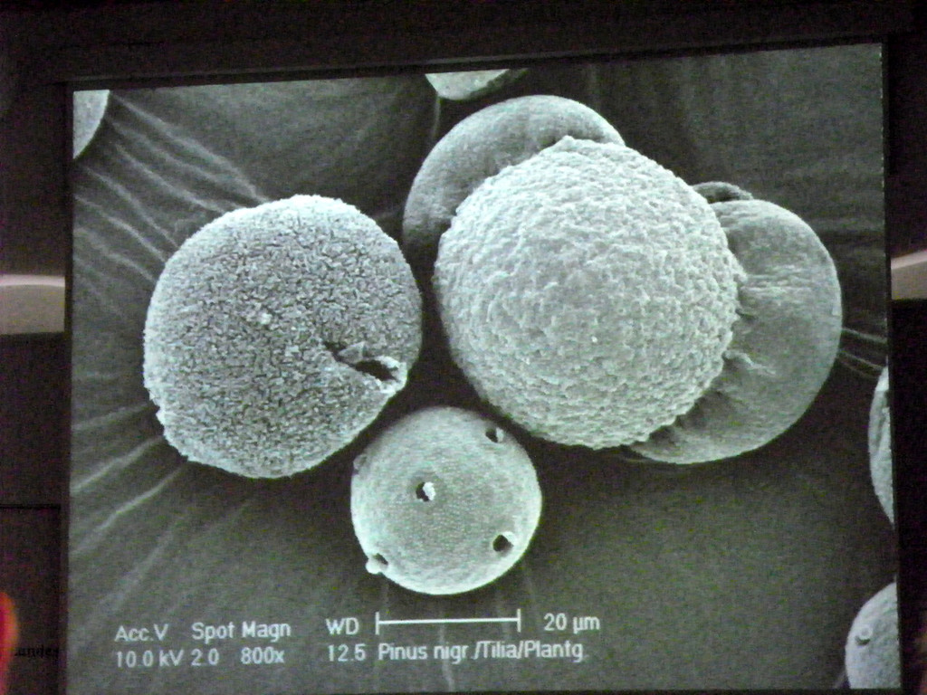 114_9097_JPG-1338932605