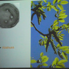 114_9099_JPG-1338932611