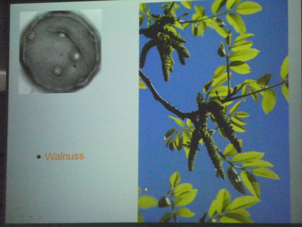 114_9099_JPG-1338932611