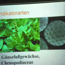 114_9104_JPG-1338932617