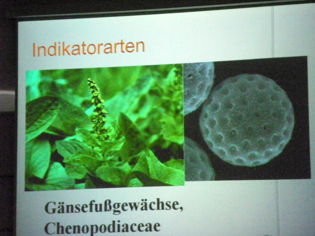 114_9104_JPG-1338932617