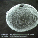 114_9106_JPG-1338932622