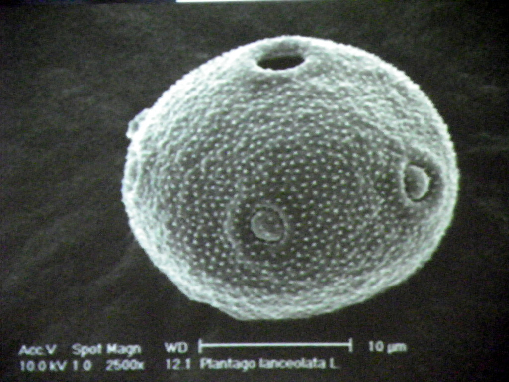 114_9106_JPG-1338932622