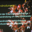 114_9116_JPG-1338932659