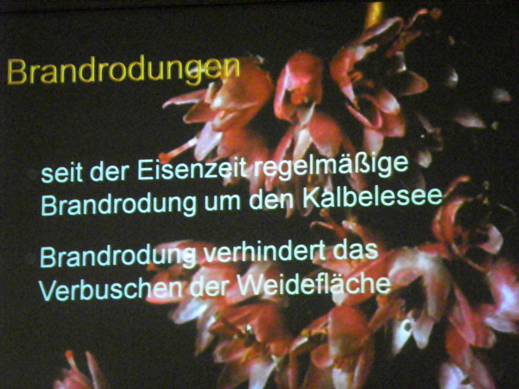 114_9116_JPG-1338932659