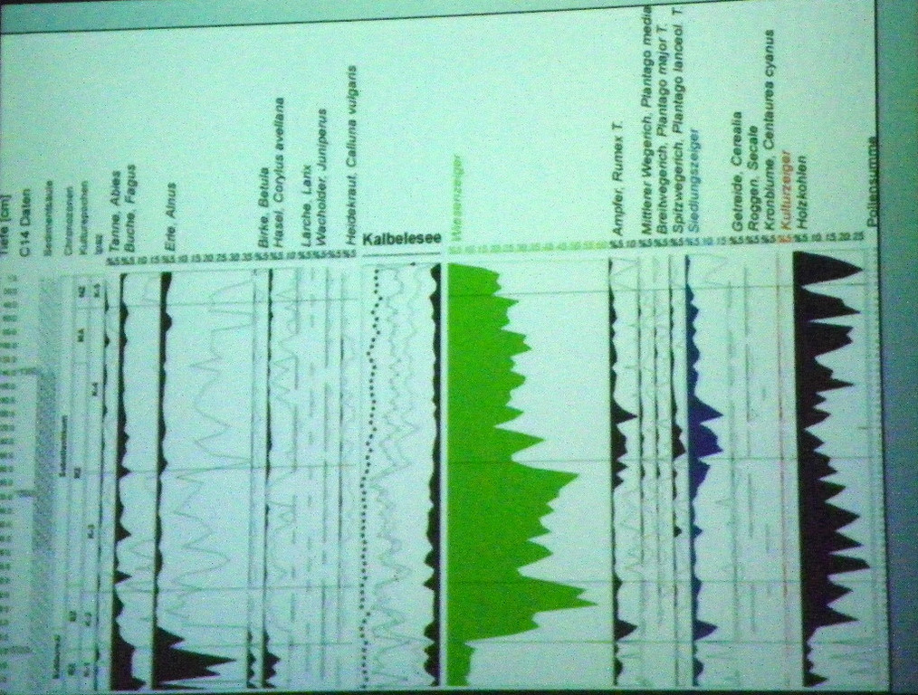 114_9115_JPG-1338932654