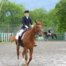 114_9571_JPG-1338935860