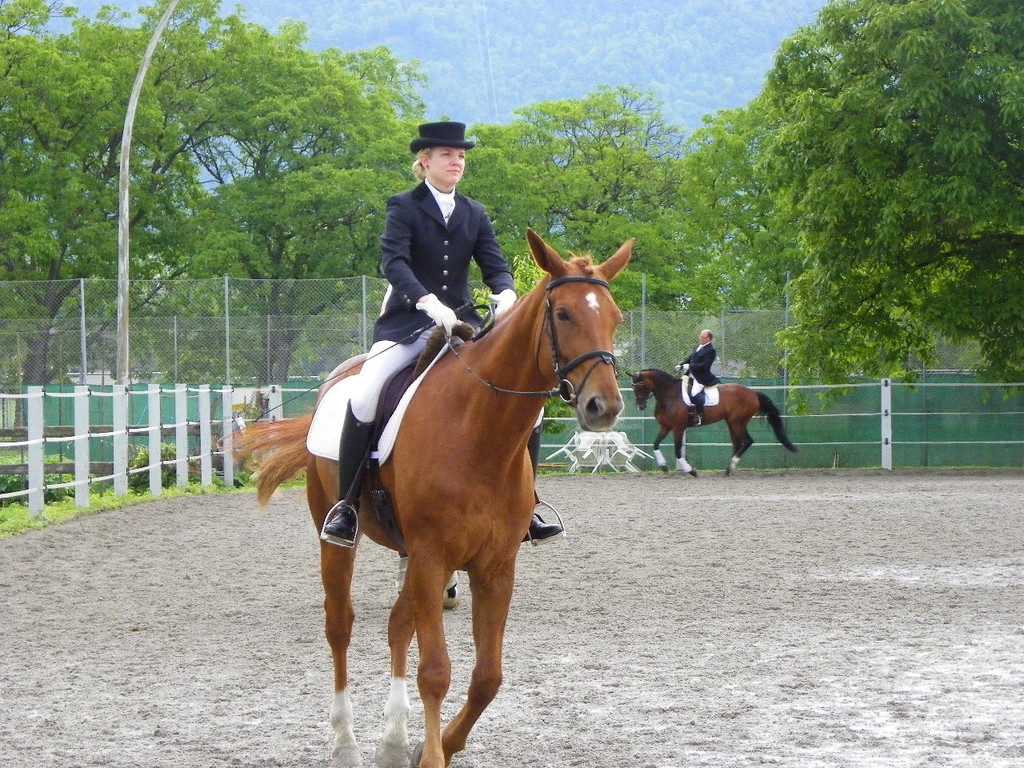 114_9571_JPG-1338935860