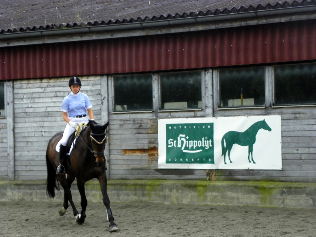 114_9591_JPG-1338935895