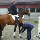 114_9596_JPG-1338935912