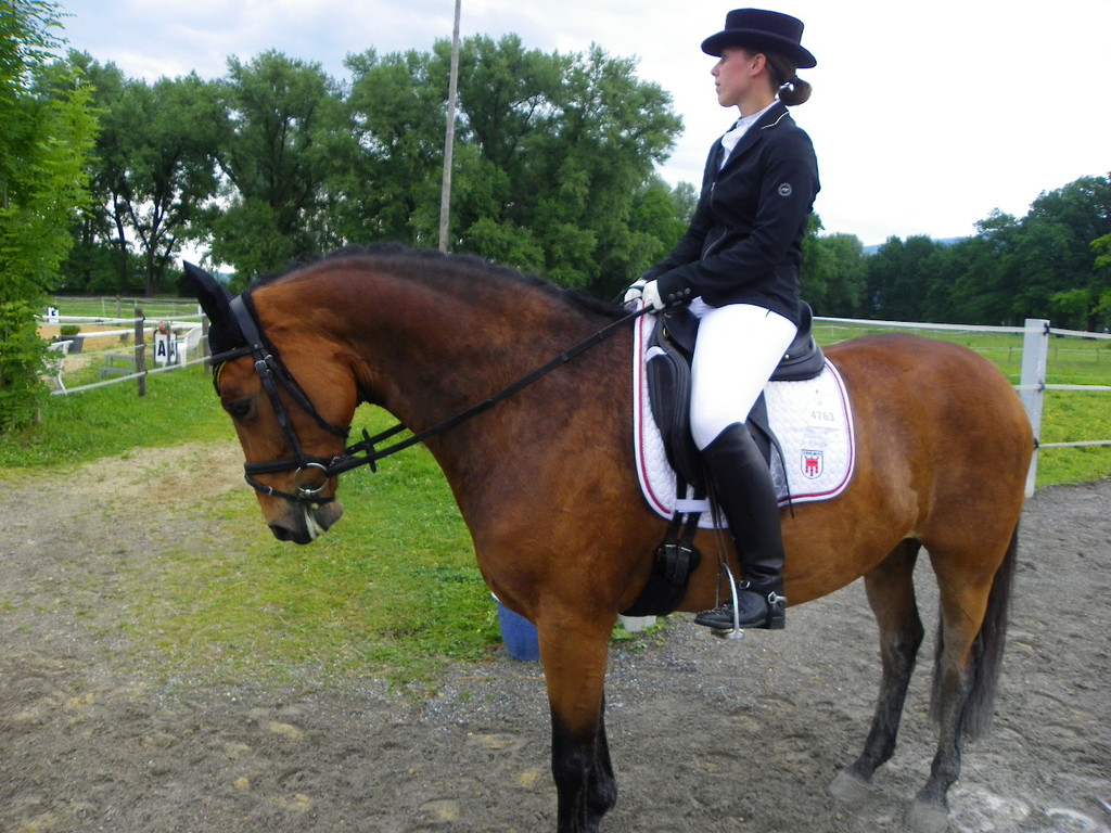 114_9597_JPG-1338935919