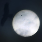DAB0842-20120606.jpg