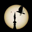 DAB0823-20120606.jpg