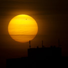 DAB0713-20120606.jpg